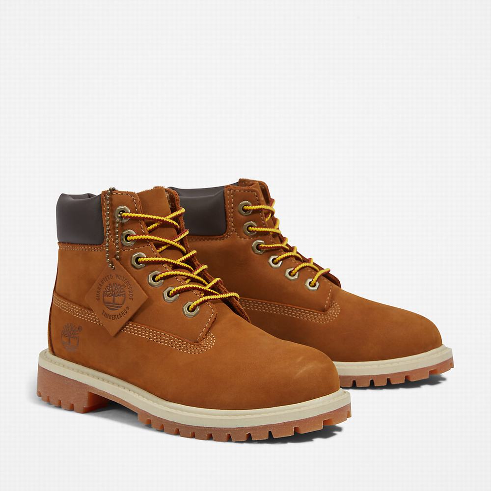 Dětské Zimní Boty Timberland Premium 6 Inch Hnědé | TI94736-795