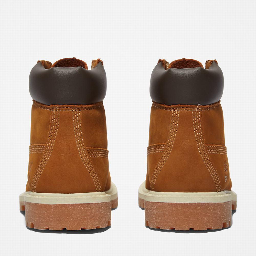 Dětské Zimní Boty Timberland Premium 6 Inch Hnědé | TI94736-795