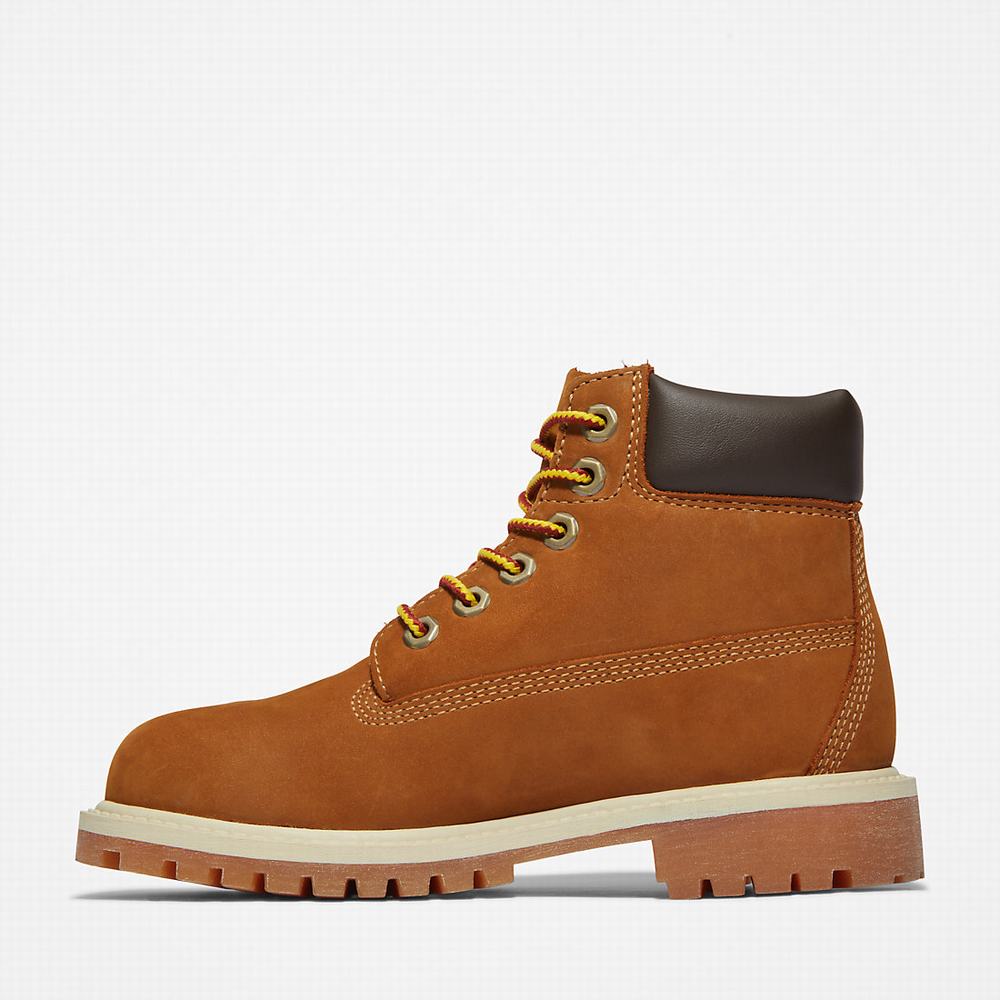 Dětské Zimní Boty Timberland Premium 6 Inch Hnědé | TI94736-795