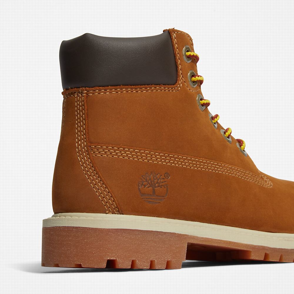 Dětské Zimní Boty Timberland Premium 6 Inch Hnědé | TI94736-795