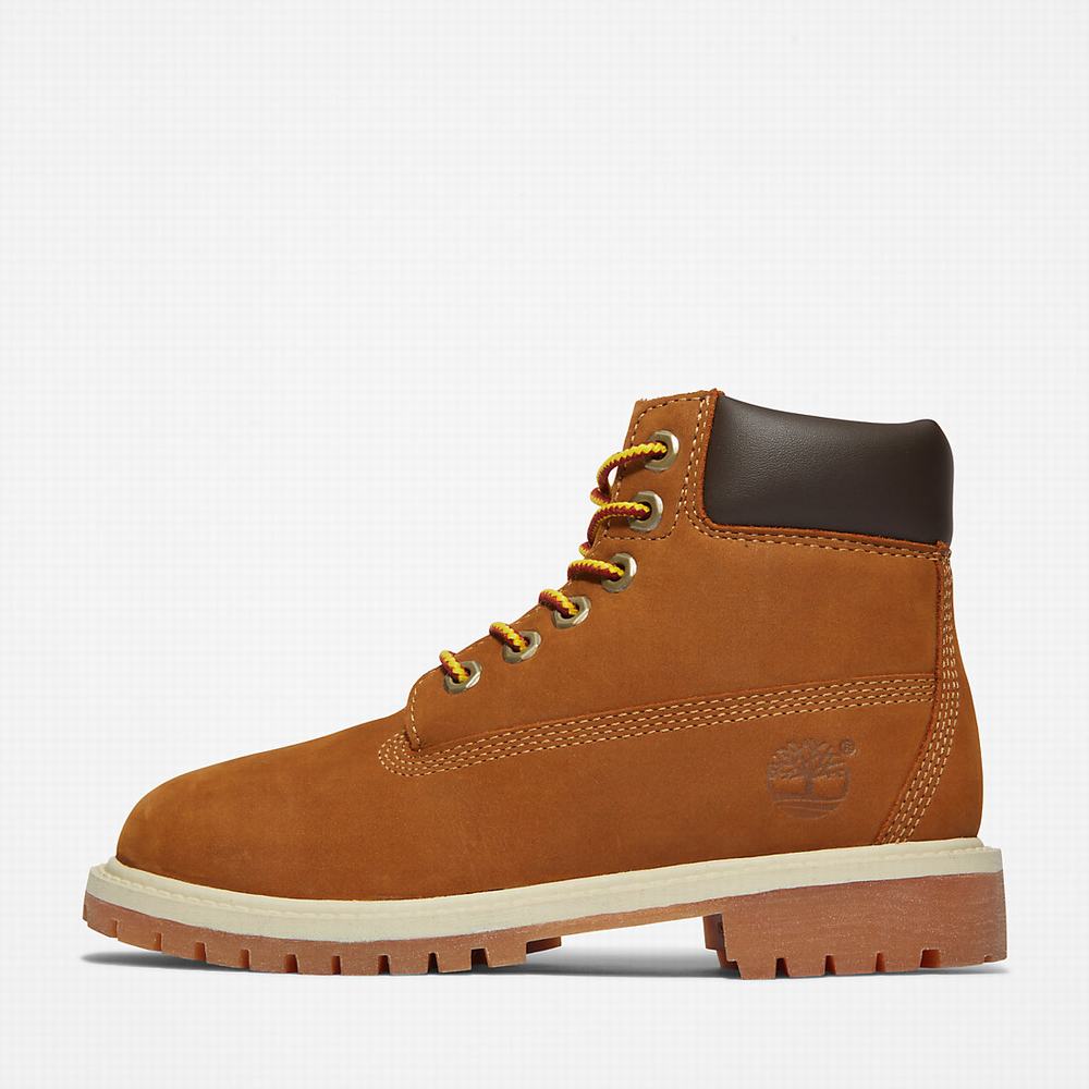 Dětské Zimní Boty Timberland Premium 6 Inch Hnědé | TI94736-795