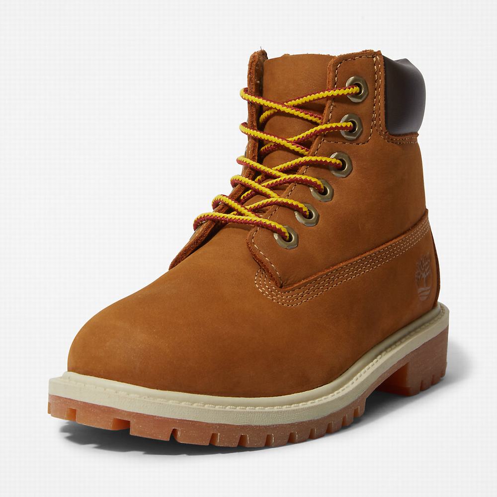 Dětské Zimní Boty Timberland Premium 6 Inch Hnědé | TI94736-795
