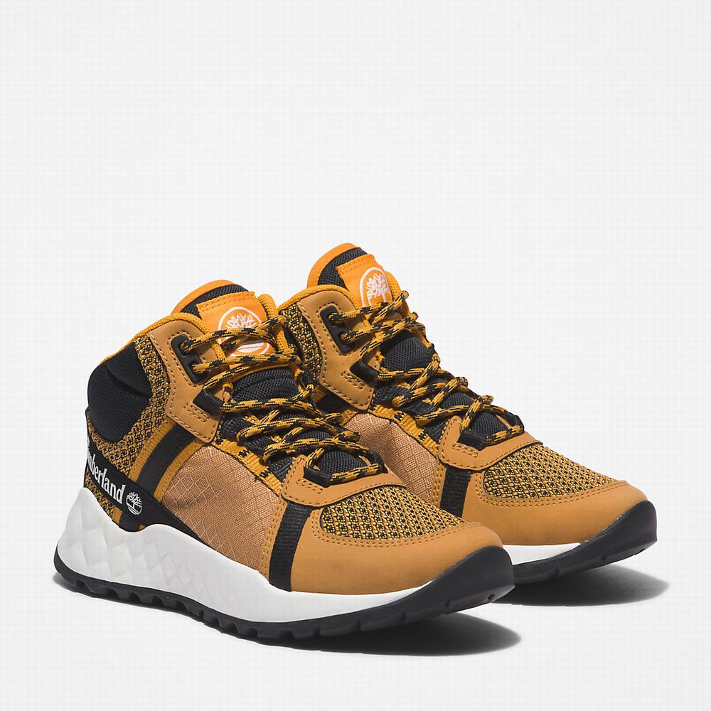 Dětské Zimní Boty Timberland Solar Wave LT Hiker Hnědé | TI71062-153