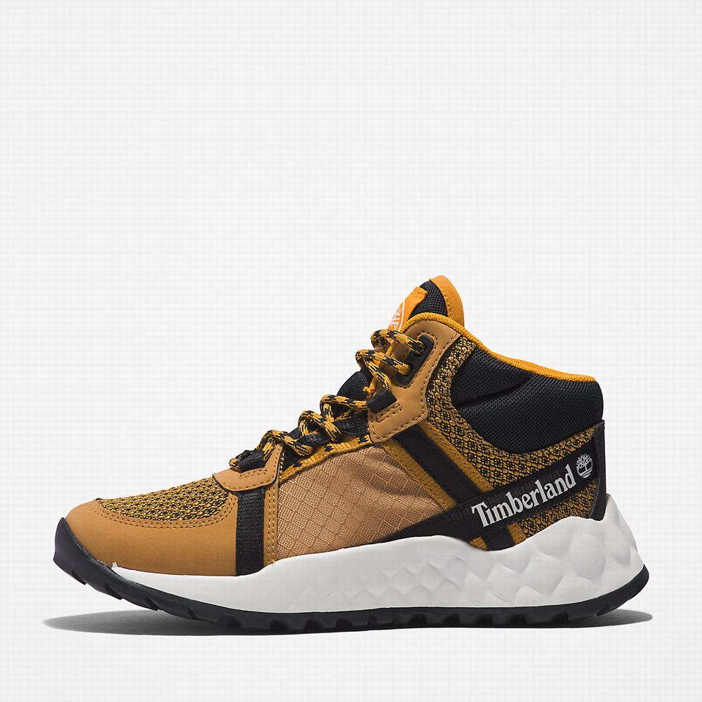 Dětské Zimní Boty Timberland Solar Wave LT Hiker Hnědé | TI71062-153