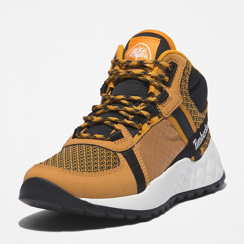 Dětské Zimní Boty Timberland Solar Wave LT Hiker Hnědé | TI71062-153