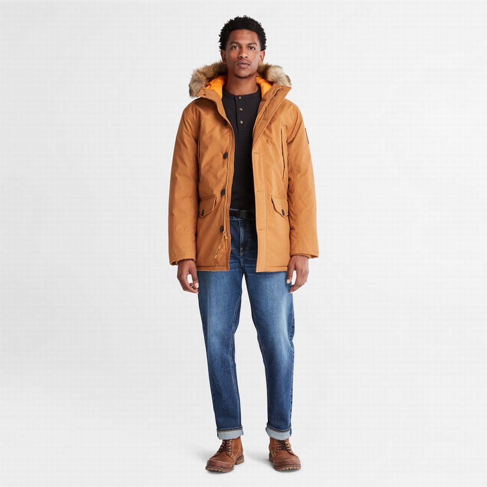 Pánské Bundy Parka Timberland Boundary Peak Warm Žluté | TI45126-510