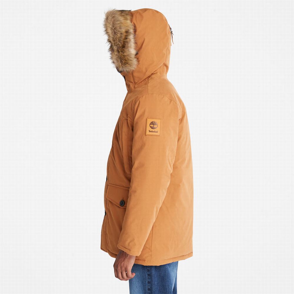 Pánské Bundy Parka Timberland Boundary Peak Warm Žluté | TI45126-510