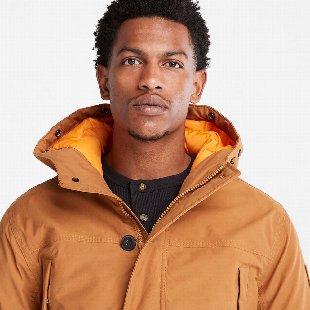 Pánské Bundy Parka Timberland Boundary Peak Warm Žluté | TI45126-510