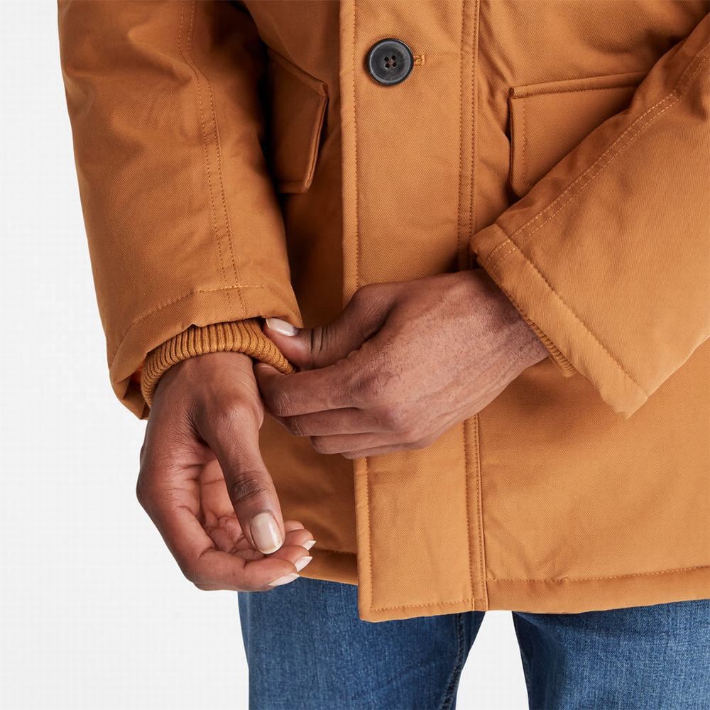 Pánské Bundy Parka Timberland Boundary Peak Warm Žluté | TI45126-510