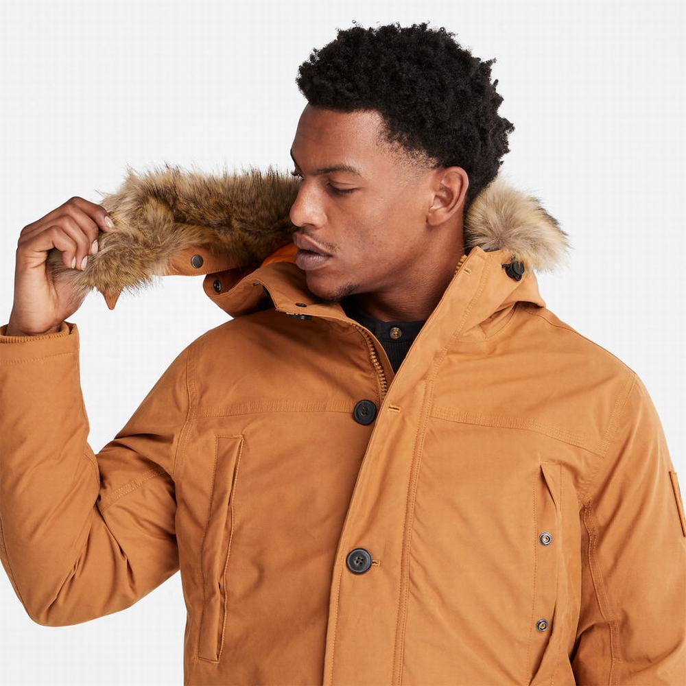 Pánské Bundy Parka Timberland Boundary Peak Warm Žluté | TI45126-510