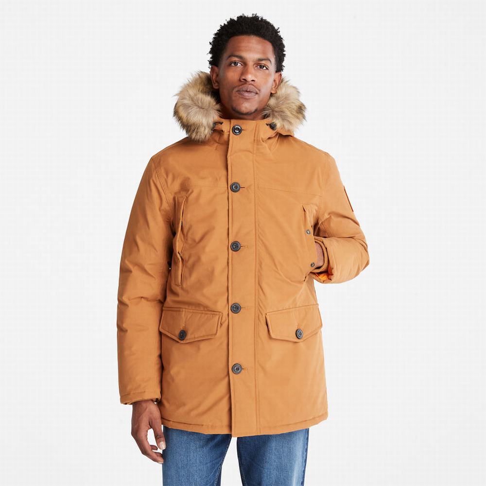 Pánské Bundy Parka Timberland Boundary Peak Warm Žluté | TI45126-510