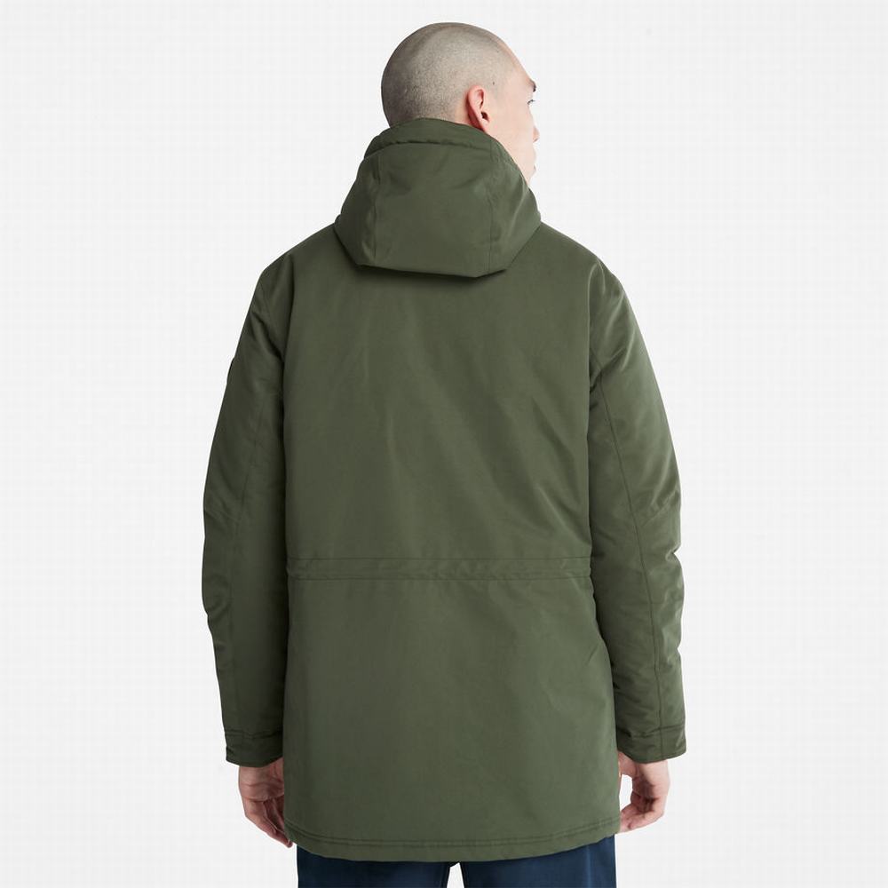 Pánské Bundy Parka Timberland Insulated City Tmavě Zelene | TI64723-518