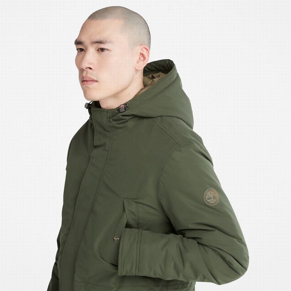 Pánské Bundy Parka Timberland Insulated City Tmavě Zelene | TI64723-518