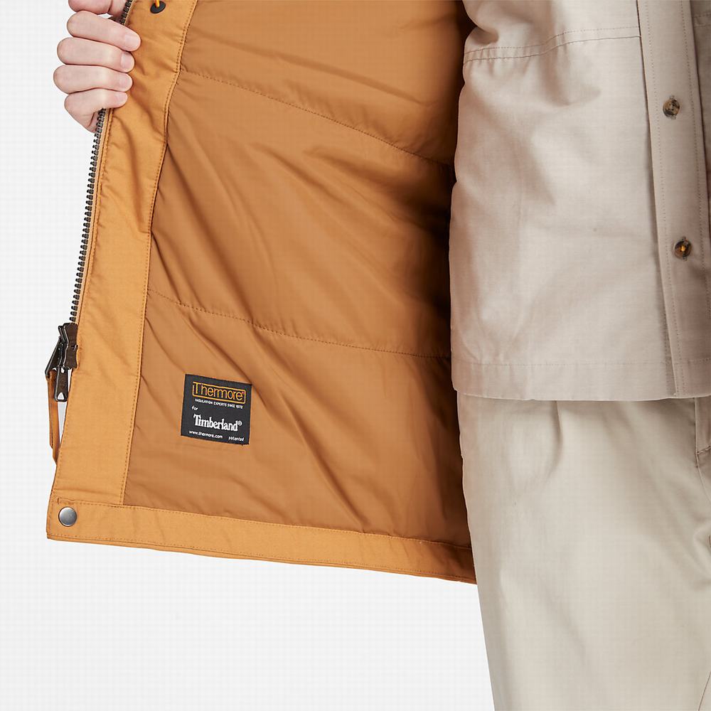 Pánské Bundy Parka Timberland Mt. Kelsey Fishtail Světle Hnědé | TI03492-783