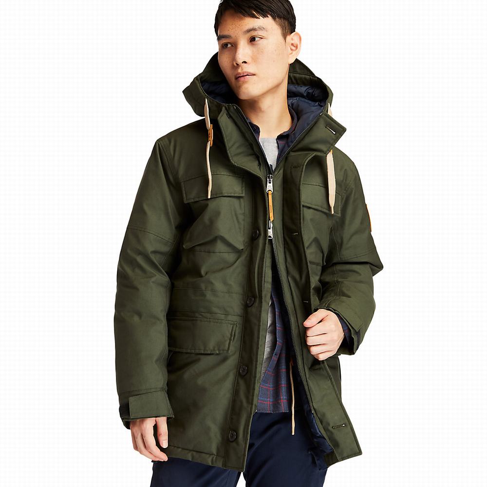 Pánské Bundy Parka Timberland Wilmington DryVent™ Field Tmavě Zelene | TI62845-518