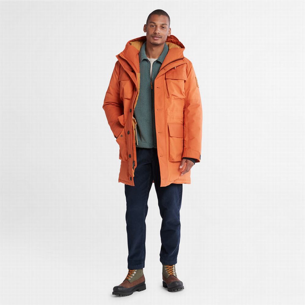 Pánské Bundy Parka Timberland Wilmington Expedition Oranžové | TI75912-472