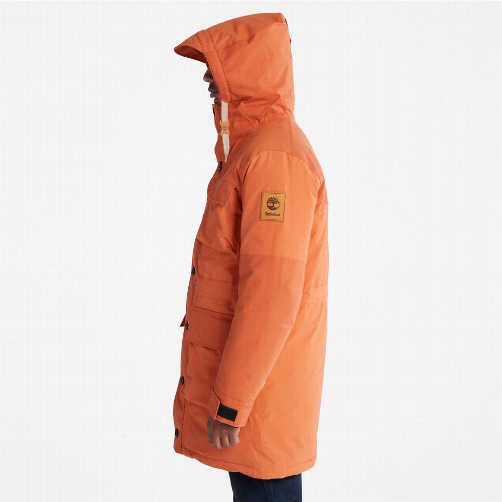 Pánské Bundy Parka Timberland Wilmington Expedition Oranžové | TI75912-472
