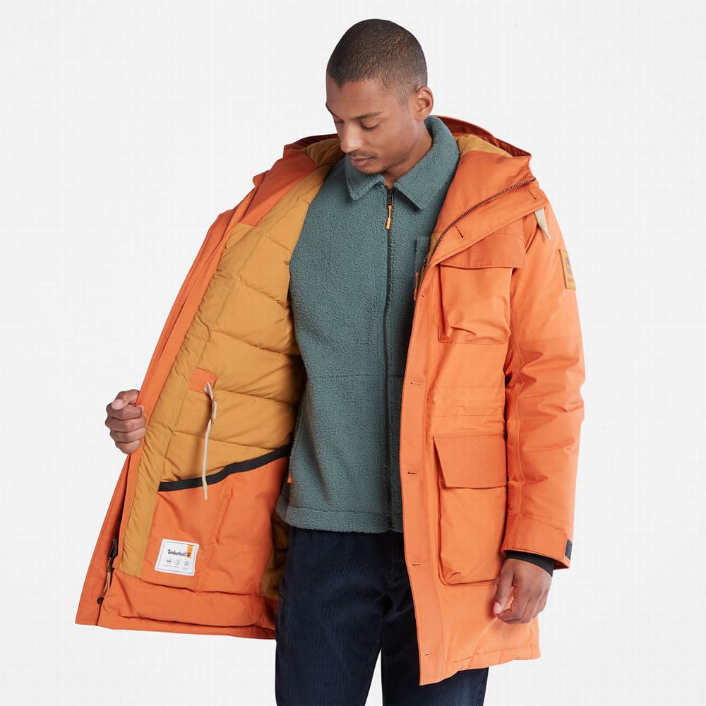 Pánské Bundy Parka Timberland Wilmington Expedition Oranžové | TI75912-472