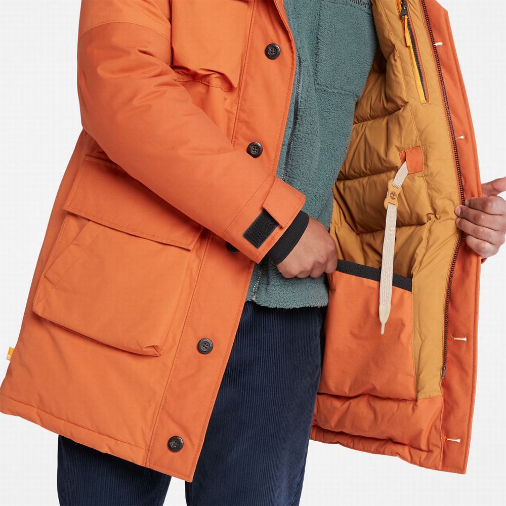 Pánské Bundy Parka Timberland Wilmington Expedition Oranžové | TI75912-472