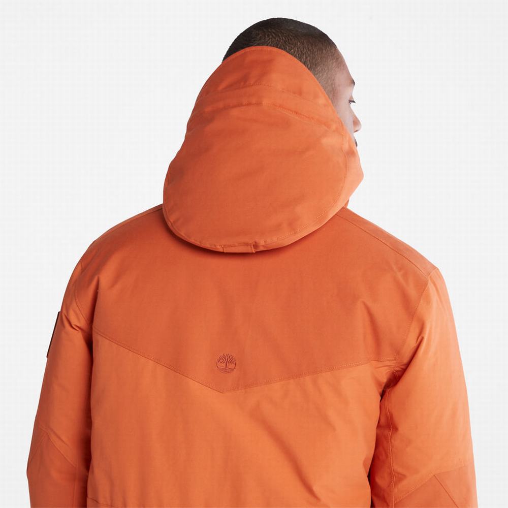 Pánské Bundy Parka Timberland Wilmington Expedition Oranžové | TI75912-472