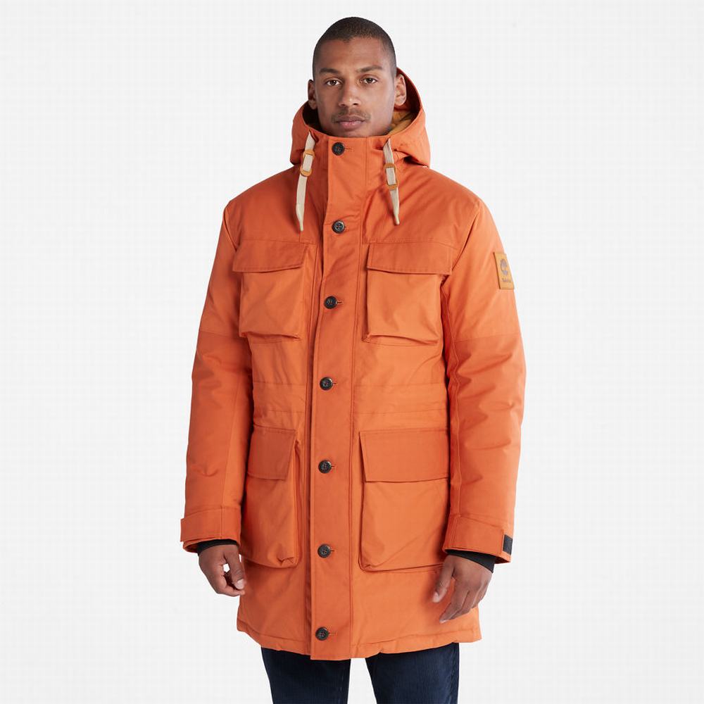Pánské Bundy Parka Timberland Wilmington Expedition Oranžové | TI75912-472