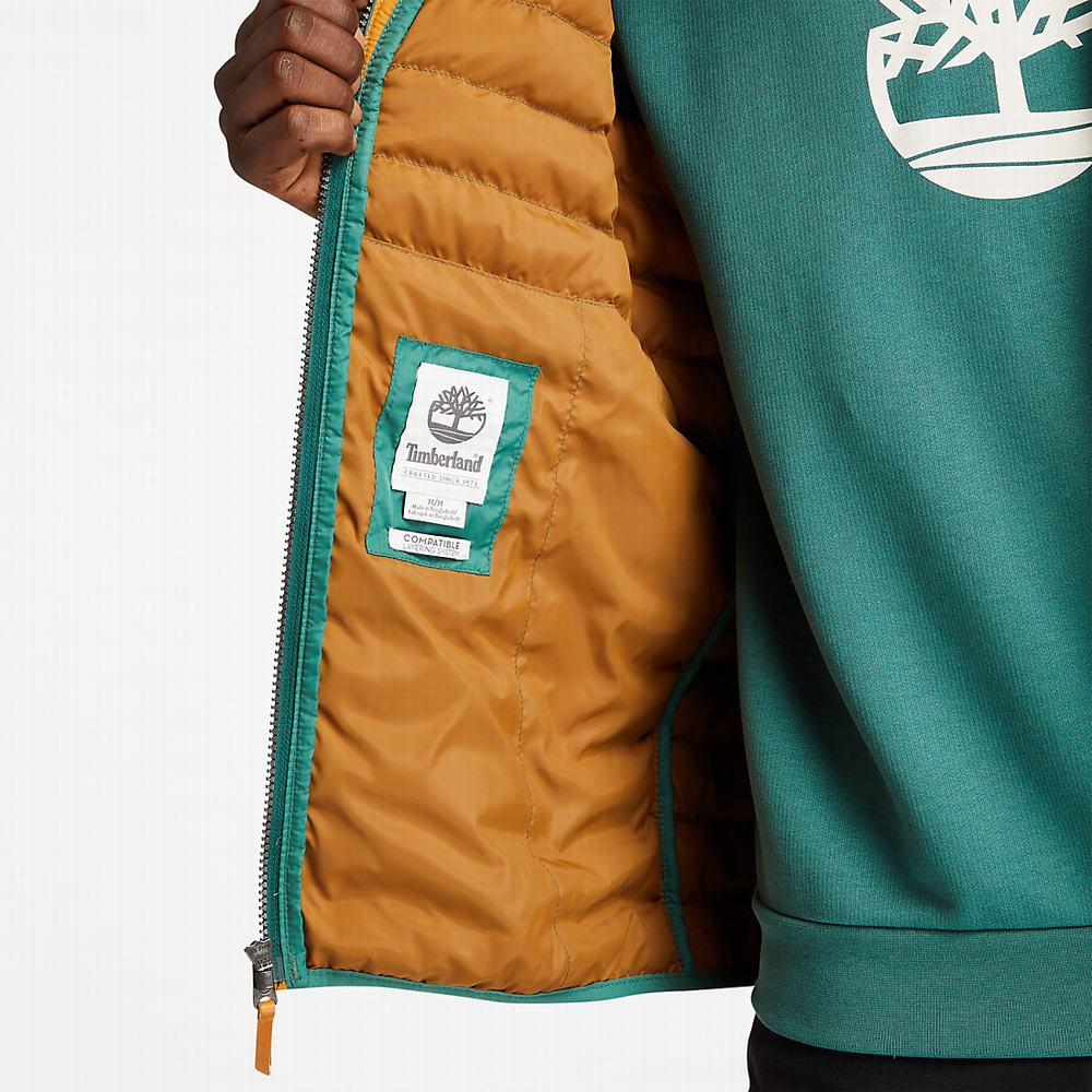 Pánské Bundy Timberland Axis Peak Waterproof Zelene | TI49378-541