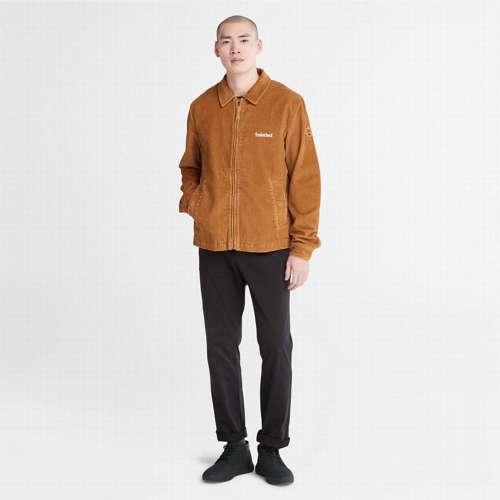 Pánské Bundy Timberland Corduroy Chore Hnědé | TI36192-159
