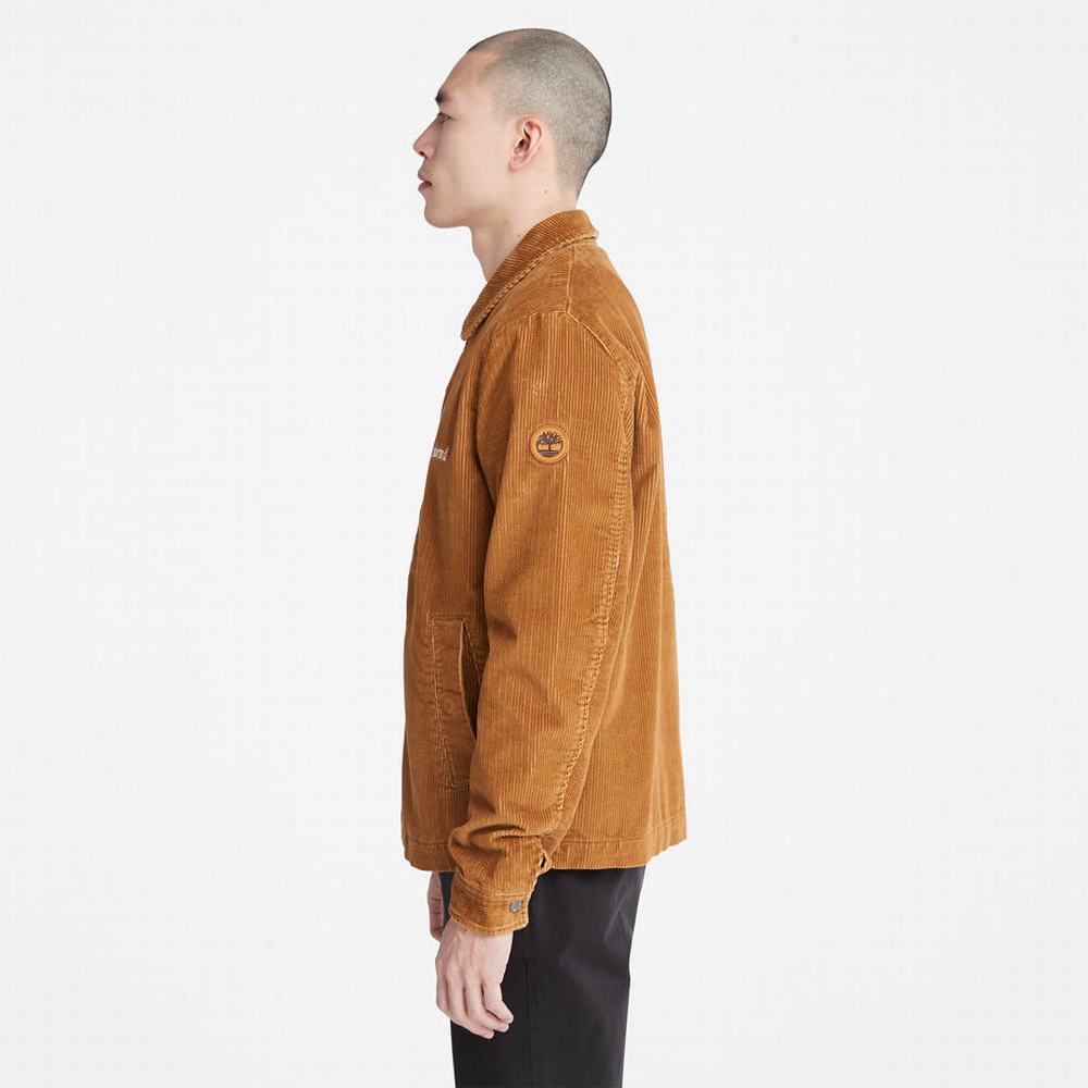 Pánské Bundy Timberland Corduroy Chore Hnědé | TI36192-159