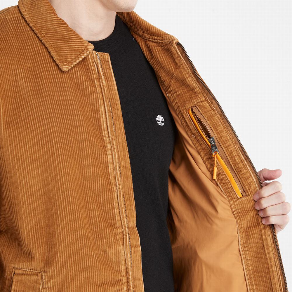 Pánské Bundy Timberland Corduroy Chore Hnědé | TI36192-159