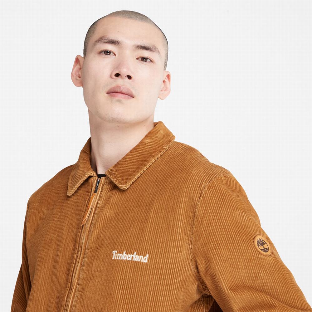Pánské Bundy Timberland Corduroy Chore Hnědé | TI36192-159