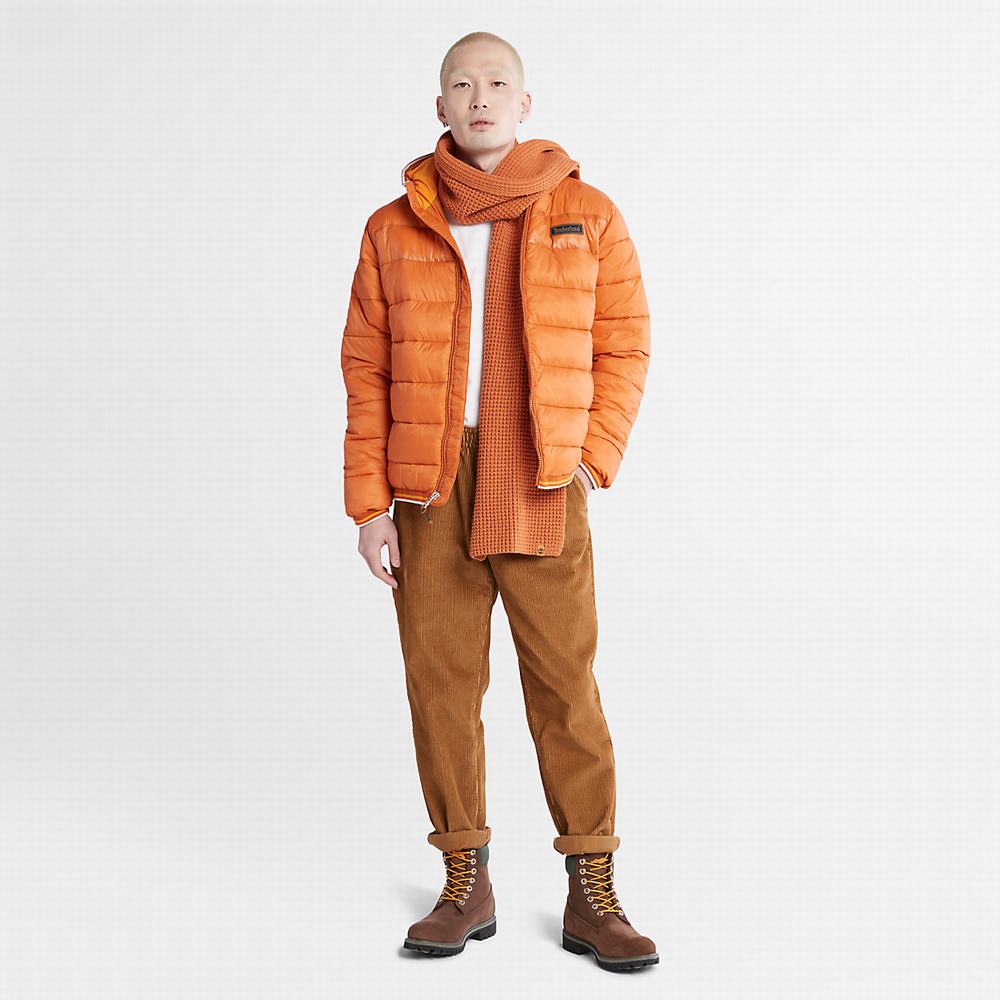 Pánské Bundy Timberland Garfield Midweight S Kapucí Puffer Oranžové | TI27468-657