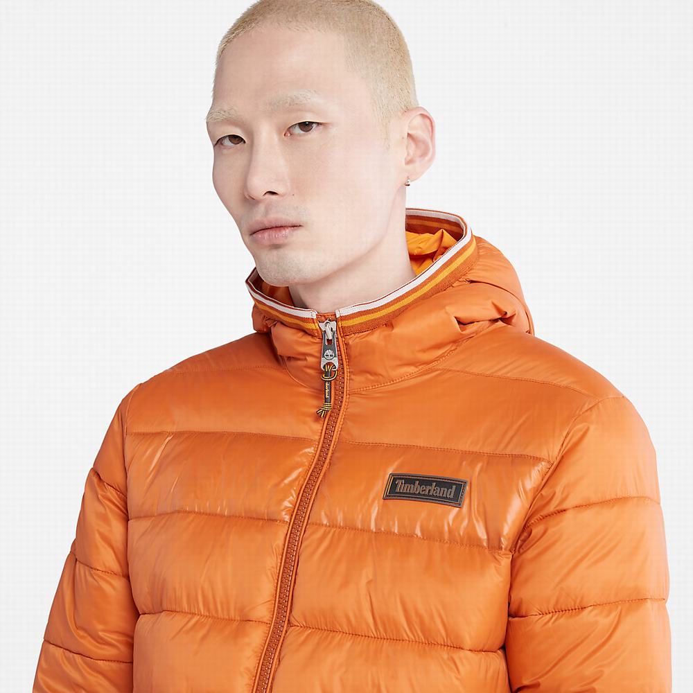 Pánské Bundy Timberland Garfield Midweight S Kapucí Puffer Oranžové | TI27468-657