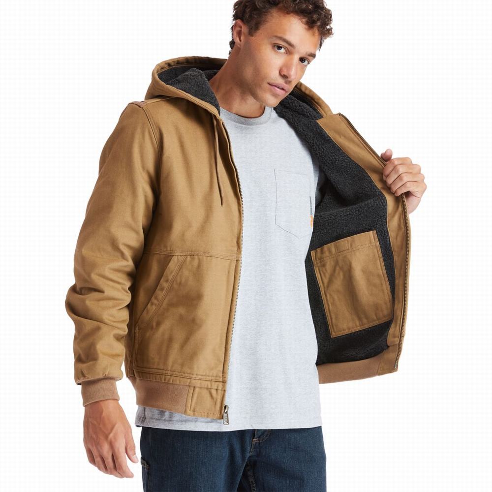 Pánské Bundy Timberland Gritman Podšité, S Kapucí Platene Tmavě Hnědé | TI64280-056