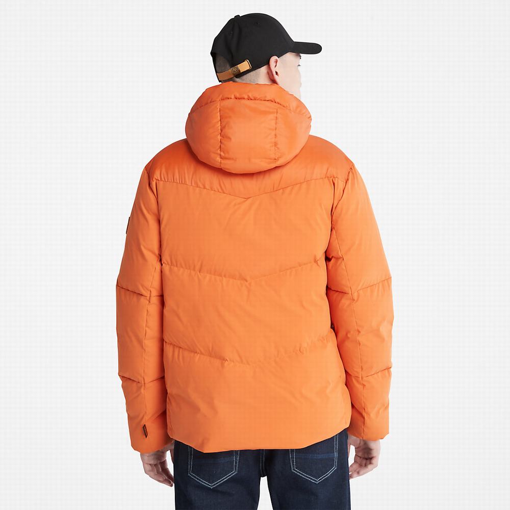 Pánské Bundy Timberland Neo Summit S Kapucí Oranžové | TI14625-183