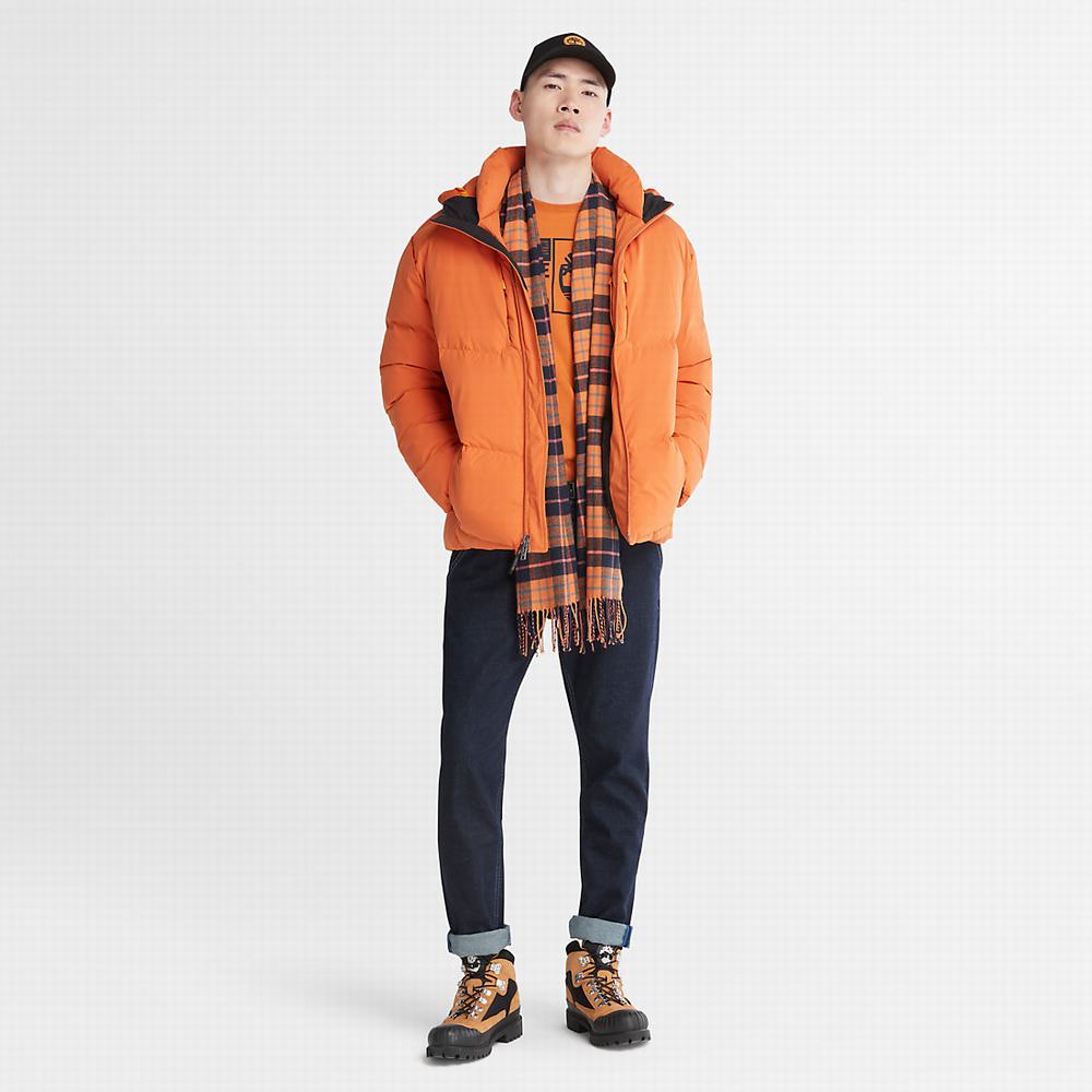 Pánské Bundy Timberland Neo Summit S Kapucí Oranžové | TI14625-183