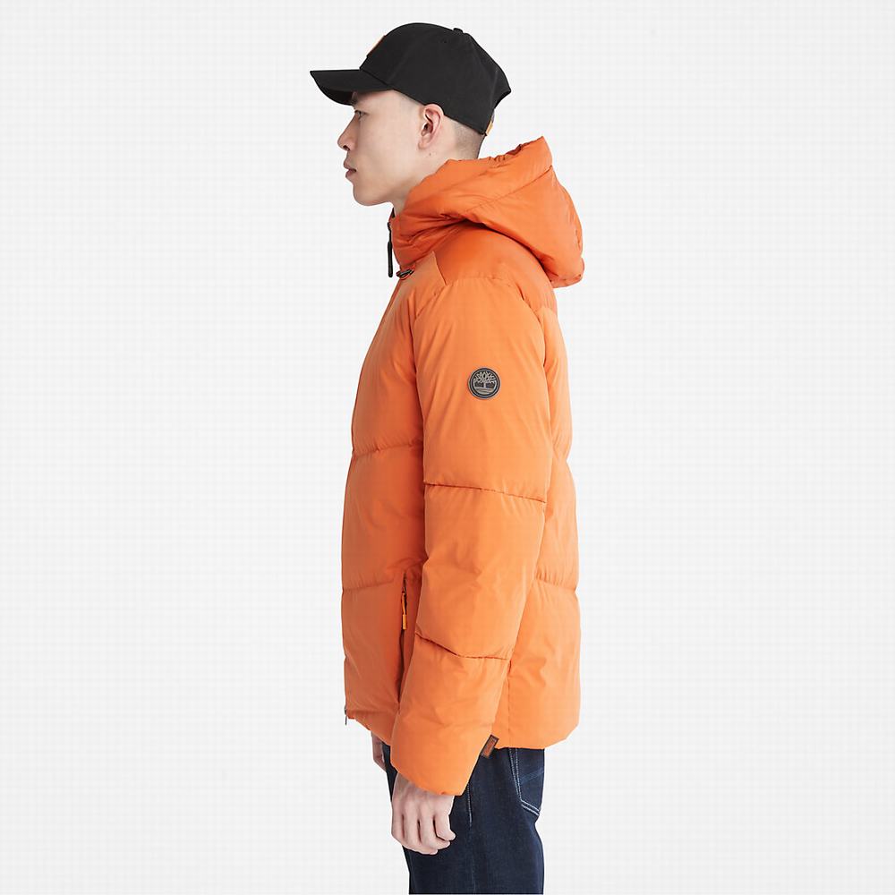 Pánské Bundy Timberland Neo Summit S Kapucí Oranžové | TI14625-183