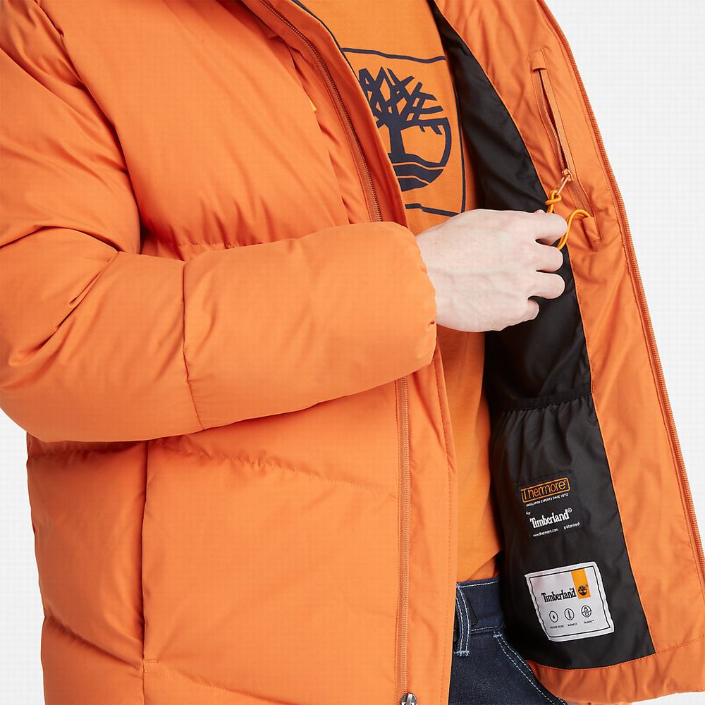 Pánské Bundy Timberland Neo Summit S Kapucí Oranžové | TI14625-183