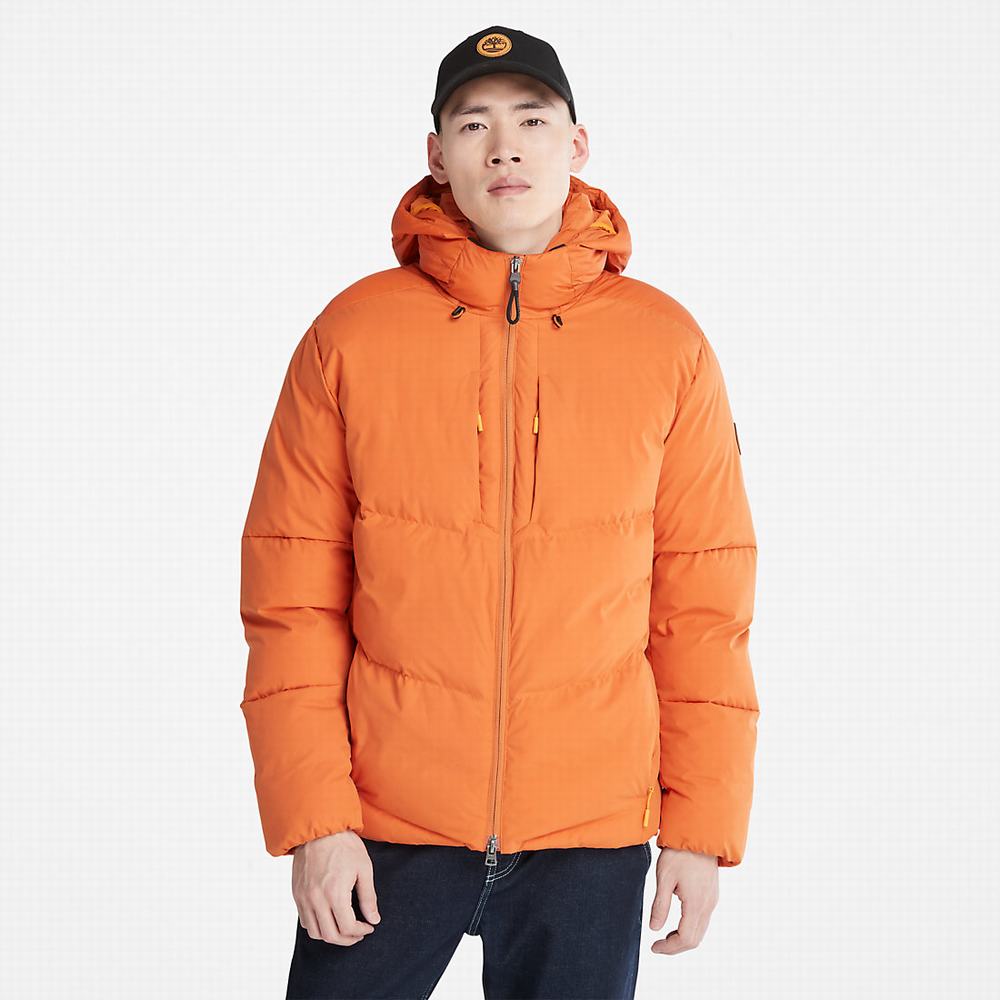 Pánské Bundy Timberland Neo Summit S Kapucí Oranžové | TI14625-183