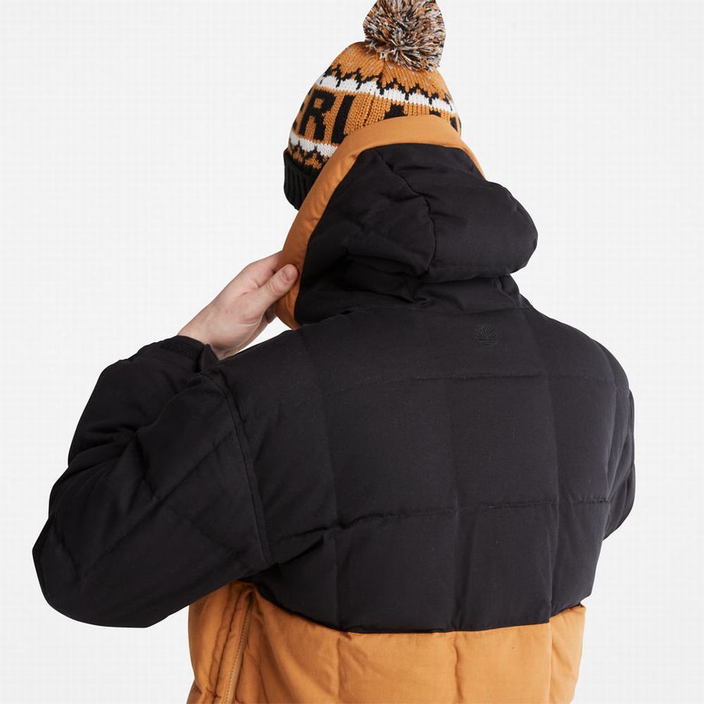 Pánské Bundy Timberland Progressive Utility Puffer Černé | TI34168-645