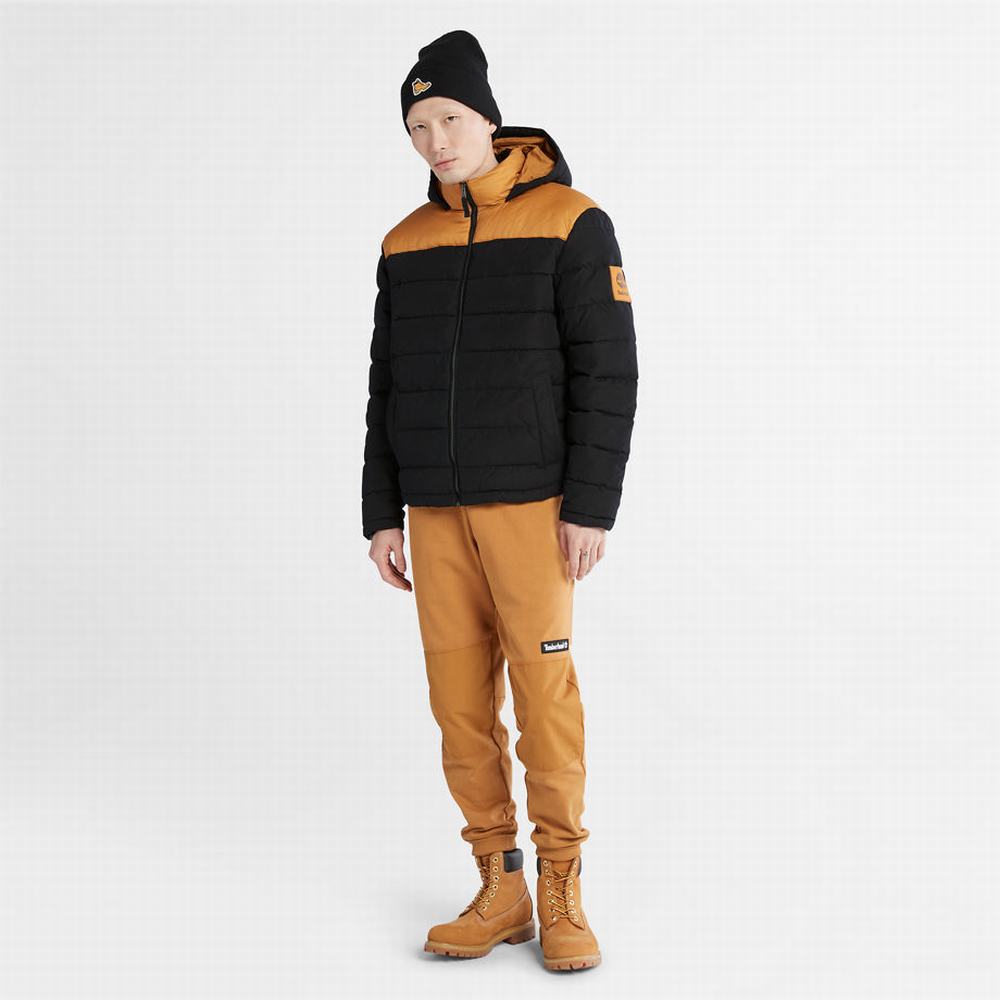 Pánské Bundy Timberland South Twin Černé Žluté | TI64879-179
