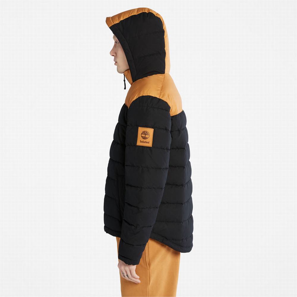 Pánské Bundy Timberland South Twin Černé Žluté | TI64879-179