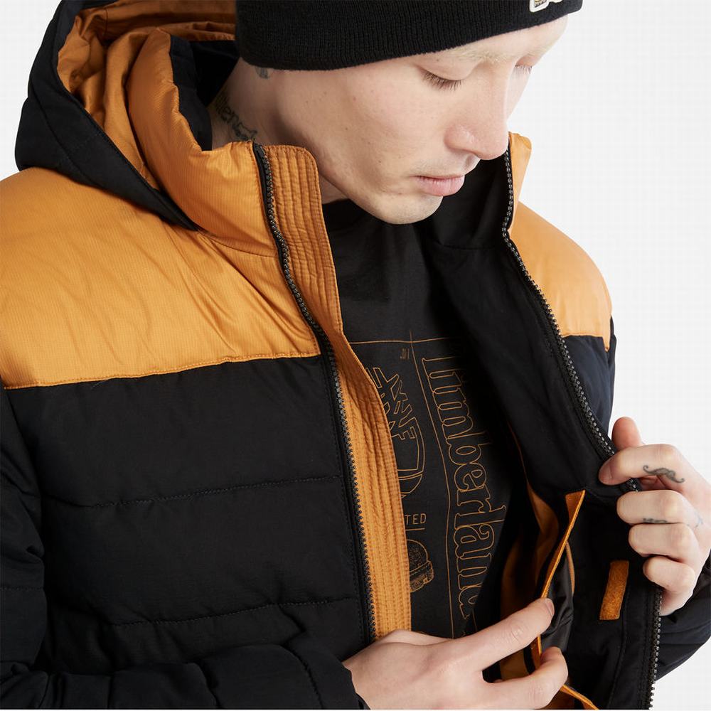 Pánské Bundy Timberland South Twin Černé Žluté | TI64879-179