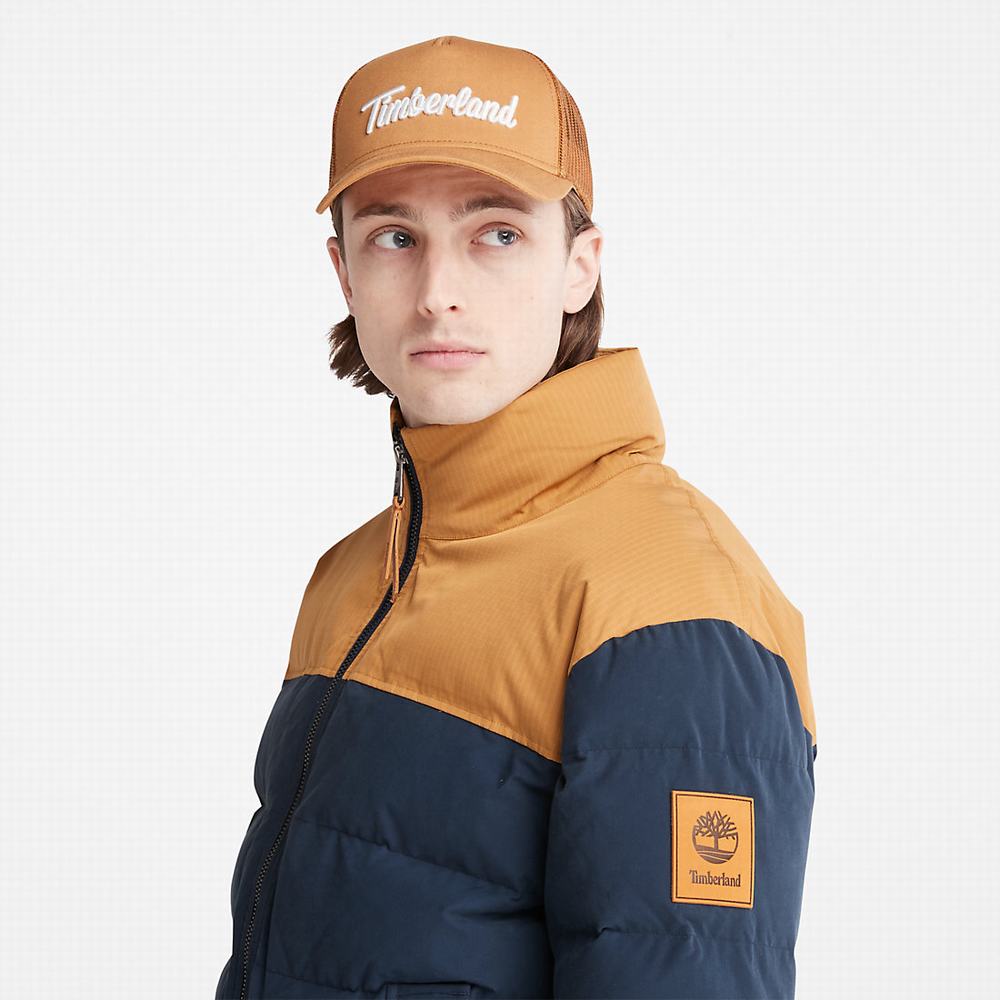 Pánské Bundy Timberland Welch Mountain Puffer Tmavě Blankyt | TI74912-367