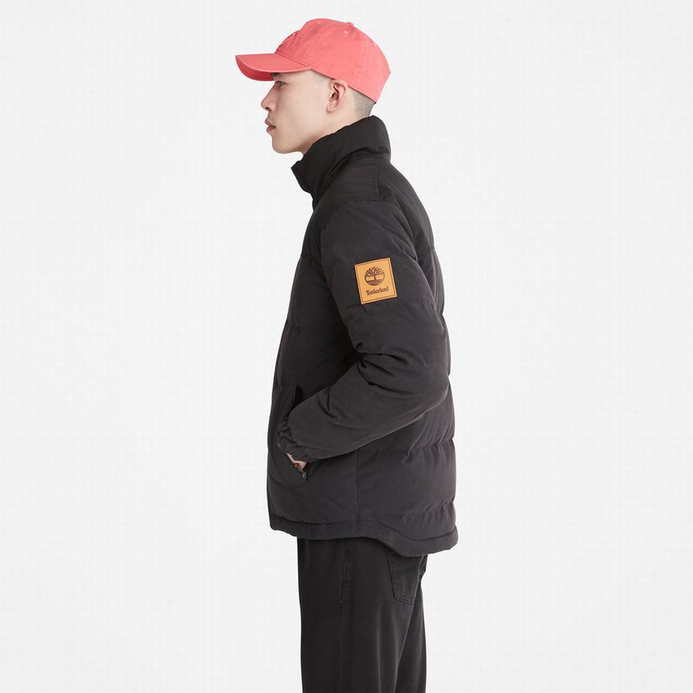Pánské Bundy Timberland Welch Mountain Reversible Puffer Černé | TI20456-896