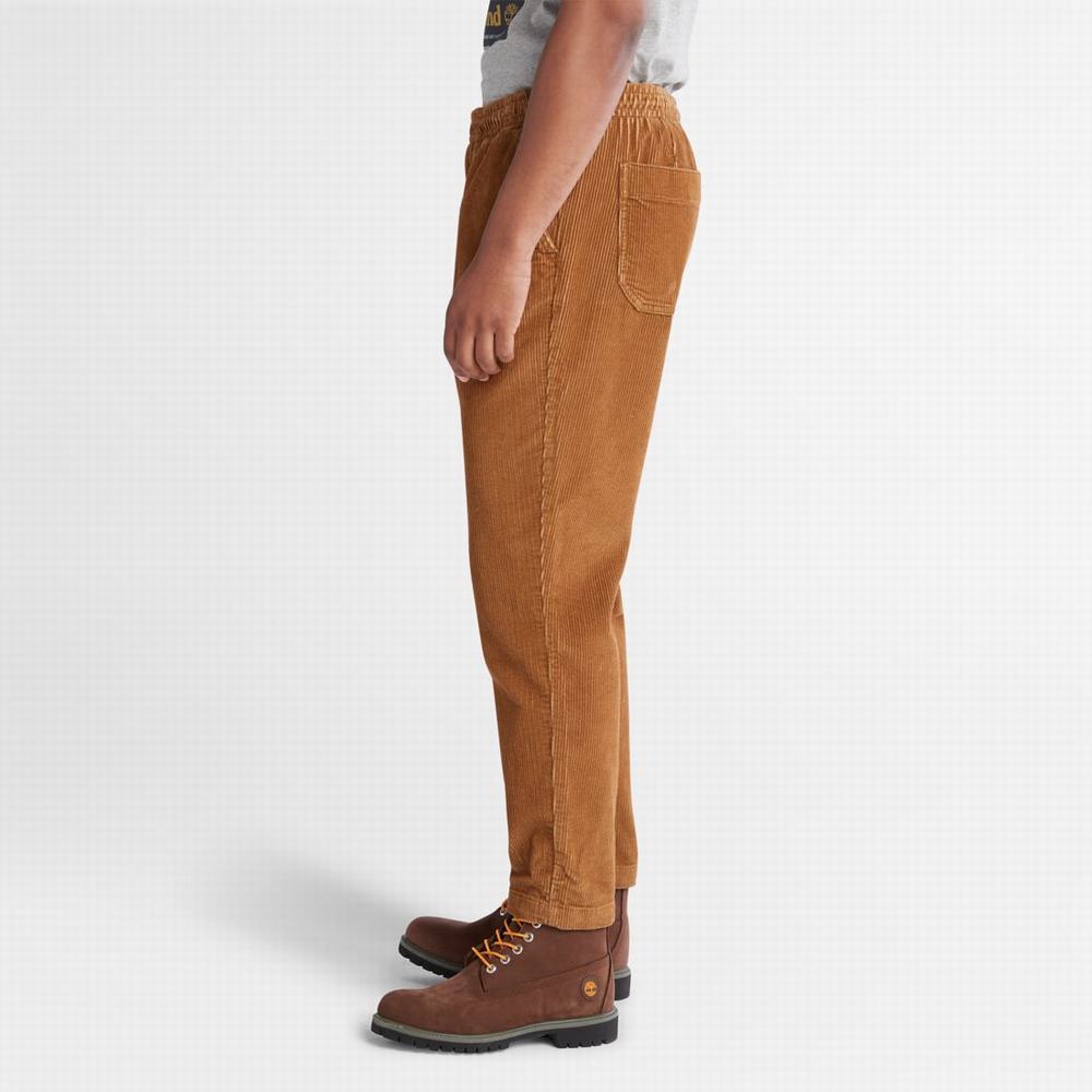 Pánské Kalhoty Jogger Timberland Corduroy Hnědé | TI69471-531