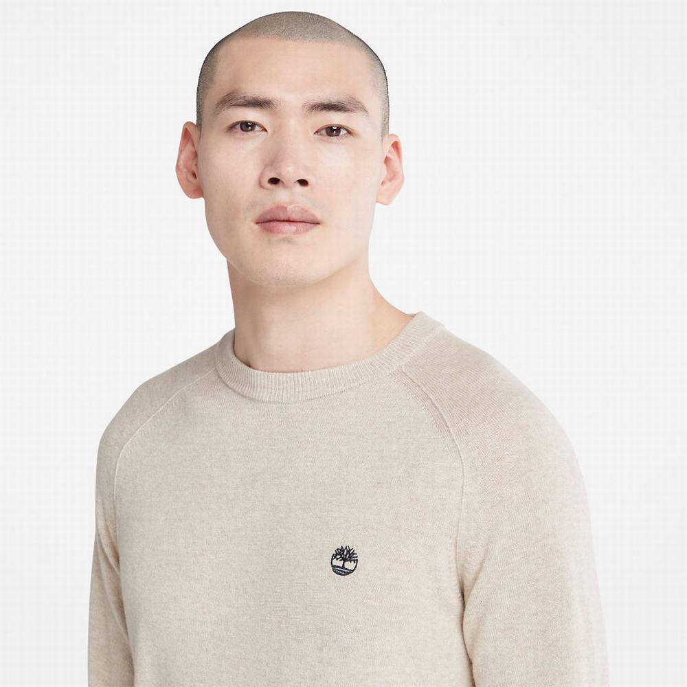 Pánské Jumpers Timberland Crewneck Raglan Světle Šedé | TI08479-062