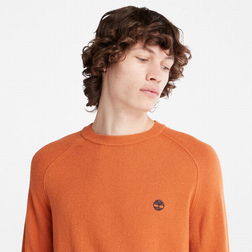 Pánské Jumpers Timberland Crewneck Raglan Oranžové | TI08965-736