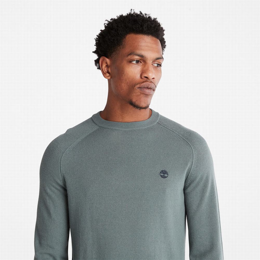 Pánské Jumpers Timberland Crewneck Raglan Zelene | TI37501-640