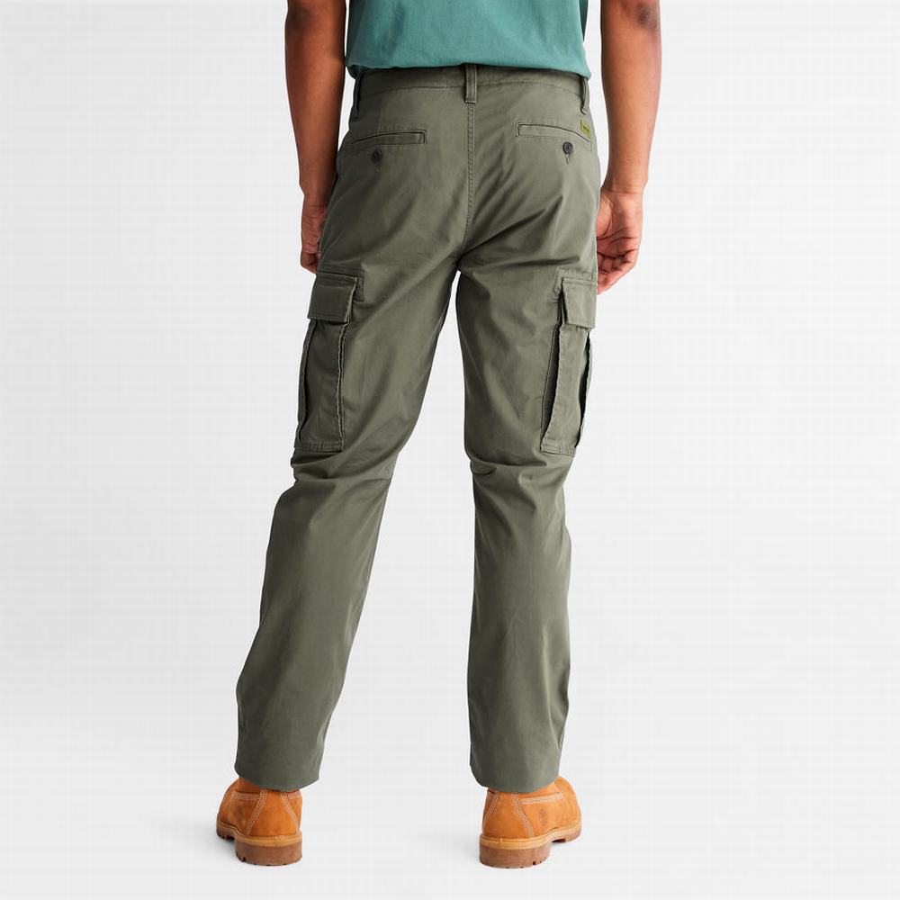 Pánské Kalhoty Timberland Squam Lake Cargo Zelene | TI24173-473
