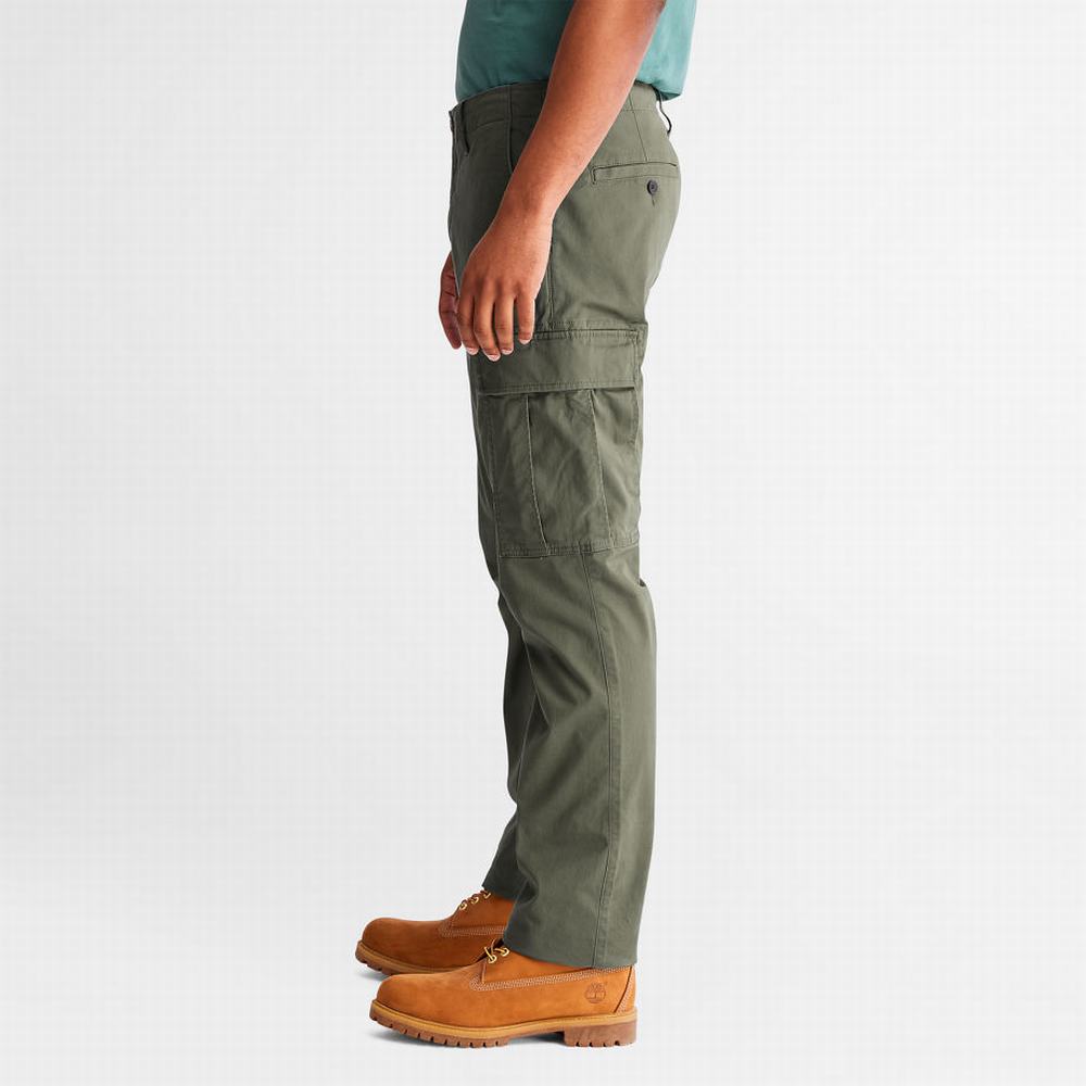 Pánské Kalhoty Timberland Squam Lake Cargo Zelene | TI24173-473
